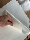 ProShine Ultra Cloth WHOLESALE 25 BULK PACK - FREE SHIPPING!